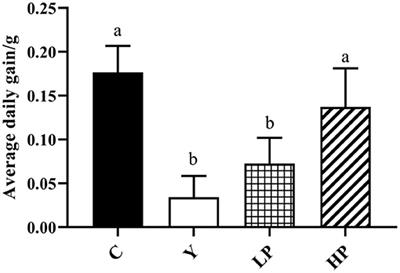 Protective Effect of Oyster Peptides Derived From Crassostrea gigas on Intestinal Oxidative Damage Induced by Cyclophosphamide in Mice Mediated Through Nrf2-Keap1 Signaling Pathway